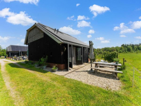 A lovely cottage on the Dwingelderveld nature park